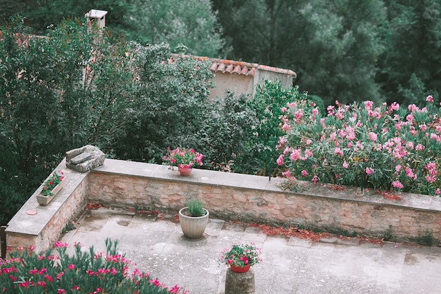 Een groene oase in de stad: tips voor het aanleggen van een stads tuin